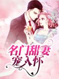 名门甜妻宠入怀叶翩然