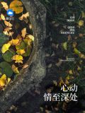 赢擎苍辛晴