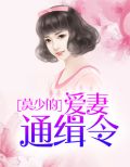 沈南乔莫北丞