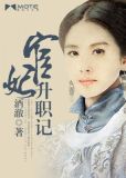 宦妃升职记
