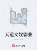 天道文学系统