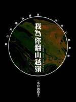 我为你翻山越岭