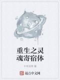 重生之灵魂寄宿体