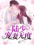 替嫁婚妻:陆少宠妻无度潘芷陆修远