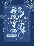我魂穿成了病弱太子爷