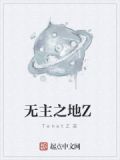 无主之地Z