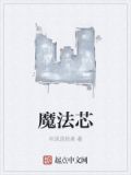 魔法芯