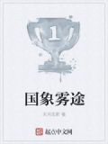 国象雾途