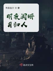 明夜阑珊月归人