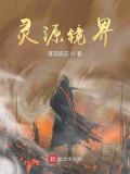 灵源镜界