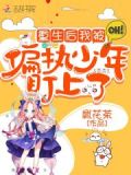 重生后我被偏执少年盯上了