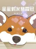 星星鹤发簪霞冠