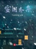 雪国说的是什么