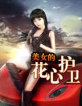 美女的花心护卫