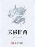 天极匪首