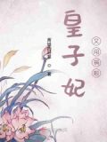皇子妃又闯祸啦