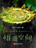 我有悟道空间