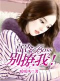 高冷boss别撩我！