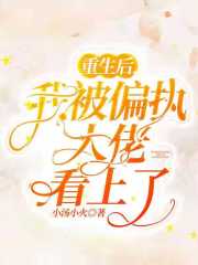 重生后我被偏执大佬看上了
