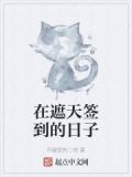 在遮天签到的日子