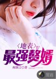 地表最强赘婿