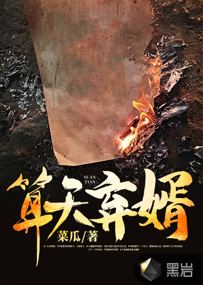 算天弃婿