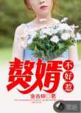 赘婿不好惹