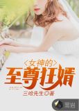 女神的至尊狂婿