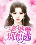老婆别想逃