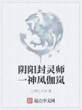 阴阳封灵师神风伽岚怎么打