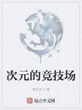 次元的竞技场