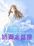 高冷娇妻太难撩
