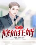 都市修仙狂婿