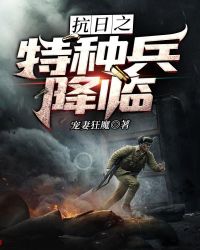 抗日之特种兵降临123