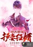 地表最强护妻狂婿