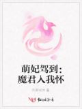 萌妃驾到：魔君入我怀
