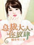 总裁大人，你放肆！