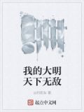 我的大明天下无敌