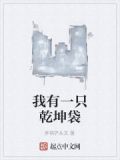 我有一只乾坤袋百度百科