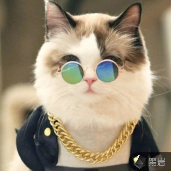 我到底是谁
