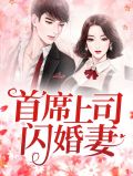 首席上司闪婚妻阮诗诗喻以默