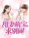 甜妻萌宝求别闹林夕傅凌霄