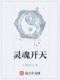 灵魂开天