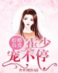 假婚真爱：霍少宠不停