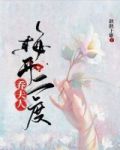 梅开二度乔爷全集