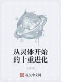 从灵体开始的十重进化
