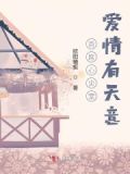 首席掌心的至爱 小说