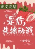是你先撩的我