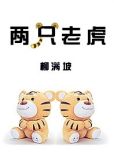 两只老虎
