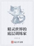 精灵世界的底层训练家